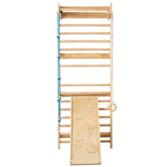 Uimoso Swedish Ladder Wall Gym 5 in 1 Wooden Indoor Playground Climbing Toys