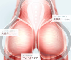 EMS Lower Body Training Bathroom Muscle Training Pelvic Floor Muscle Glutes Legs