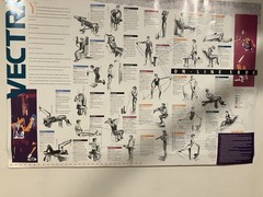 Vectra On-Line 1800 Home Gym