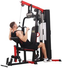 LX750 Multifunctional Full Home Gym System Workout Station with 122.5 Lbs Weight