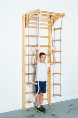 Wooden playground for home-Kids and adults wooden sport ladder with Swing set
