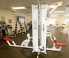 Cybex Jungle Gym (both sides with connecting pull-up bar)