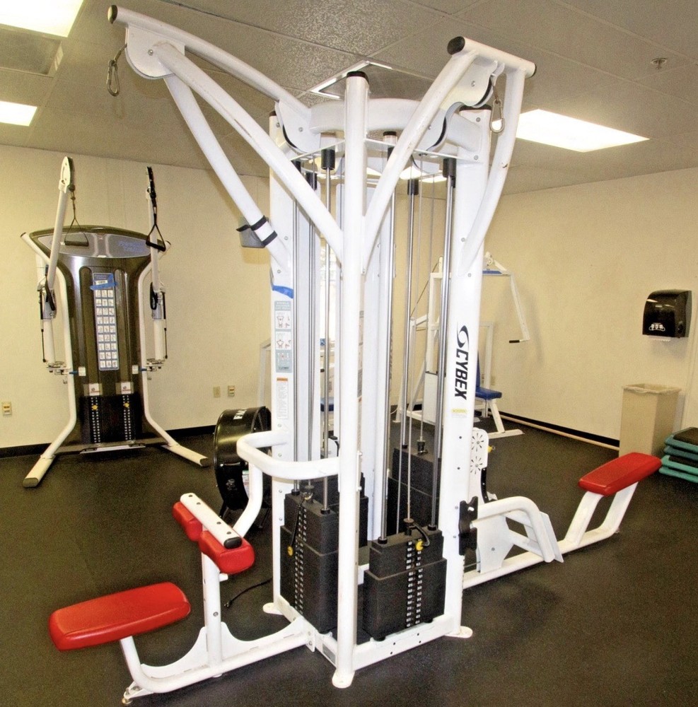 Cybex Jungle Gym (both sides with connecting pull-up bar)