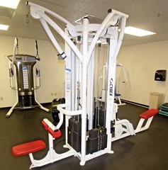 Cybex Jungle Gym (both sides with connecting pull-up bar)