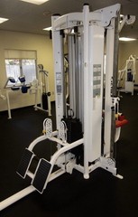 Cybex Jungle Gym (both sides with connecting pull-up bar)