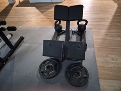 Oblique Flexor (ROGUE)