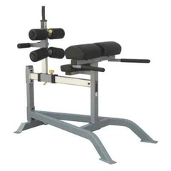 Champion Barbell Glute/Hamstring Machine – Commercial Grade Equipment