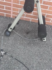 Schwinn BOWFLEX Leg Extension With Cables.