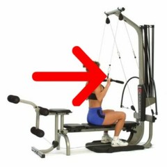 Bowflex Lat Bar Straps Pair – ALL MODELS Xtreme 2 / 2 SE Bench Squat Attachment