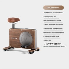 Compact Quiet Home Indoor Stationary Bike – Little Trojan Horse Fitness Equipmen