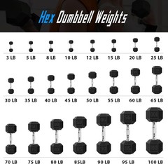 Black Hex 12 LB Dumbbell Pair | Perfect for Weight Loss & Strength Building