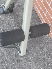 Schwinn BOWFLEX Leg Extension With Cables.