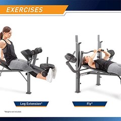 Standard Weight Bench Incline with Leg Developer and Butterfly Arms,