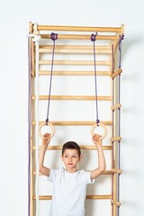 Wooden playground for home-Kids and adults wooden sport ladder with Swing set