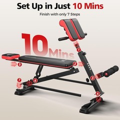 Multi-Function Roman Chair Bench for Full-Body Workout-