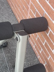 Schwinn BOWFLEX Leg Extension With Cables.