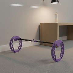 Twin Wheel Exercise Wheel Noiseless Wheels Waist Twisting Exercise Wheel Small