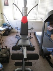 Bowflex Blaze Complete Home Gym Over 60 DiffExercises Benefits Rescue Animals!!