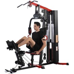 LX760 Multifunctional Full Home Gym System Workout Station with 122.5 Lbs Weight