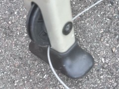 Schwinn BOWFLEX Leg Extension With Cables.