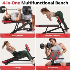 800lbs Capacity Alloy Steel Roman Chair for Heavy Training