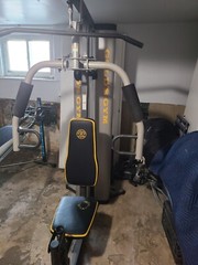gold gym workout brench
