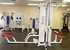 Cybex Jungle Gym (both sides with connecting pull-up bar)