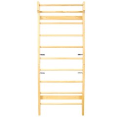 Swedish Ladder Wall Gym 2-in-1 10-Level 220 lbs Capacity Fitness Equipmen