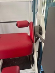 Nautilus Omni Bicep Machine First Gen