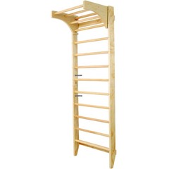Swedish Ladder Wall Gym 2-in-1 10-Level 220 lbs Capacity Fitness Equipmen