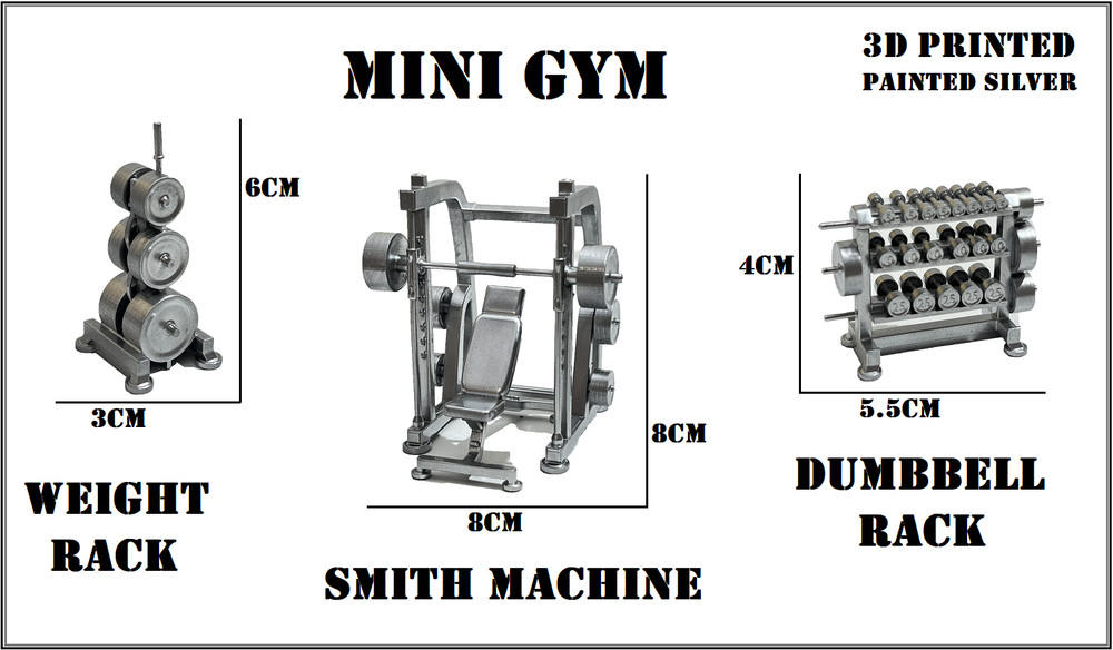 Mini Gym Set 4 Peice Smith Machine Weight Rack Dumbbell Rack Doll House Toys