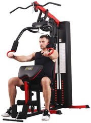LX750 Multifunctional Full Home Gym System Workout Station with 122.5 Lbs Weight