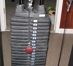 Body-Solid 200lb G-Stack and Leg Press