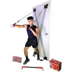 Total Body Workout: X Factor Door Gym with Straight Bar, DVD, Chart